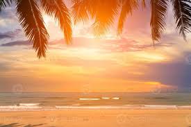 Plage conseiller